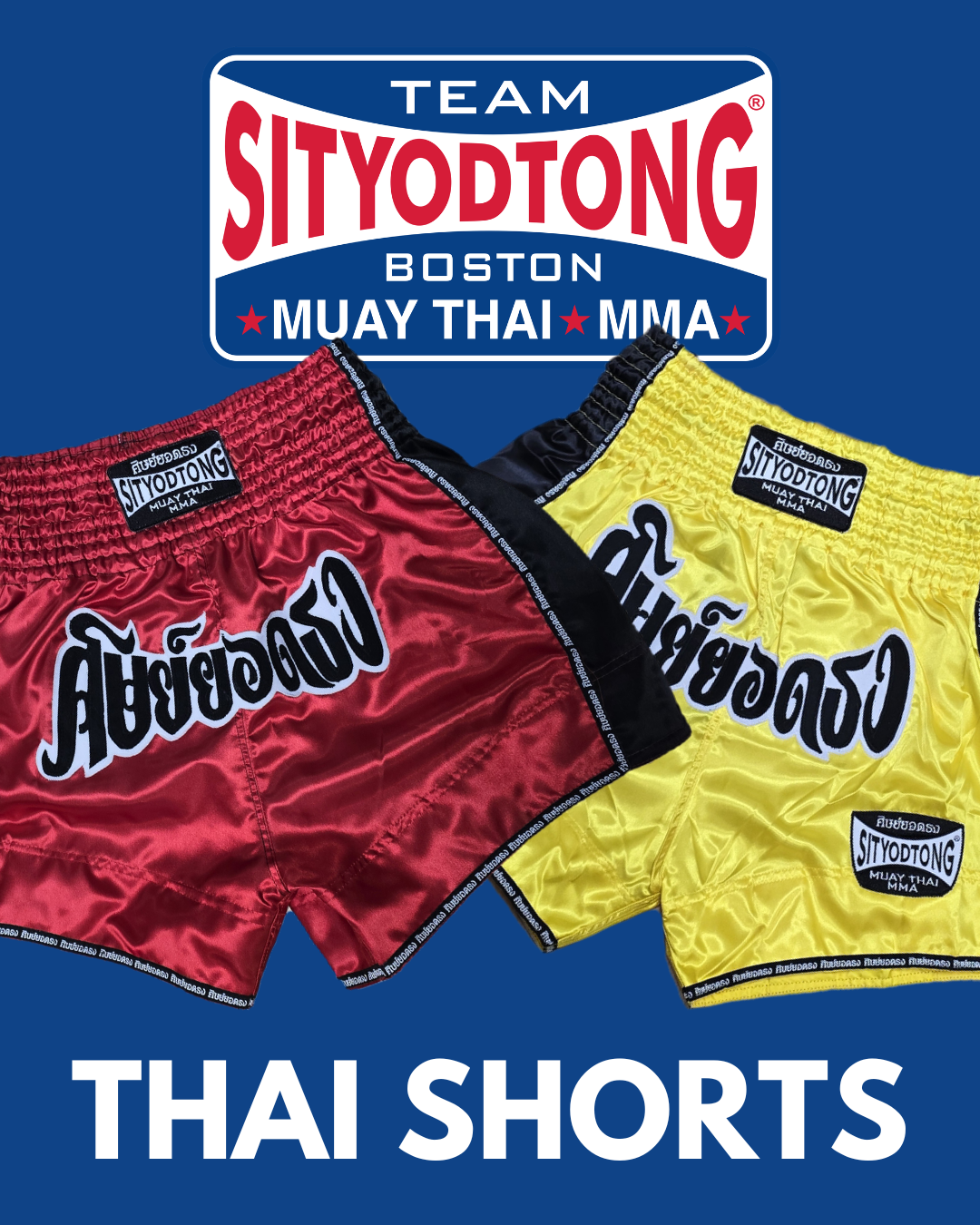 Thai Shorts - Muay Thai Boxing Shorts (Thailand)