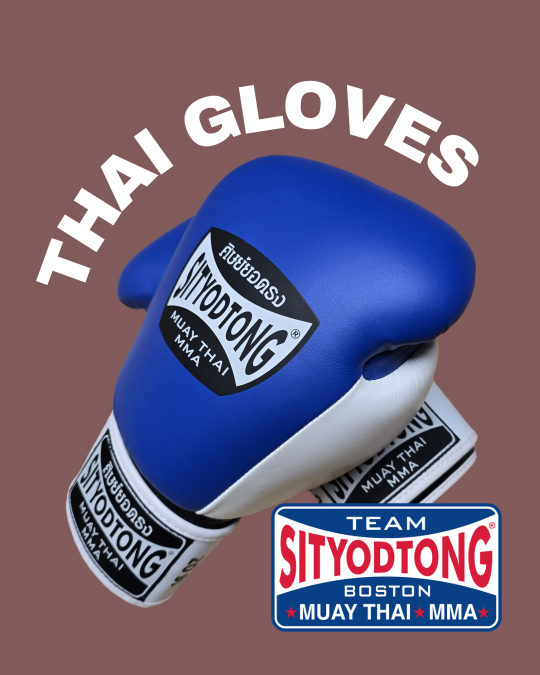 Gloves - 16 Oz Leather Muay Thai Boxing Gloves